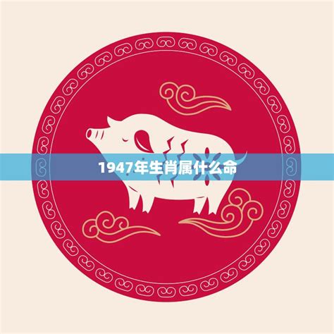 1947年生肖猪|1947年属什么生肖 出生1947年是什么生肖